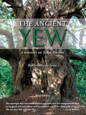 cover image of The Ancient Yew